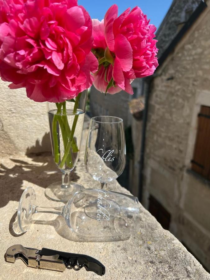 La Maison D'Alienor - Gites De Caractere A Chablis - 89 Bagian luar foto